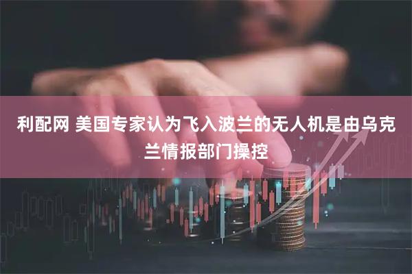 利配网 美国专家认为飞入波兰的无人机是由乌克兰情报部门操控