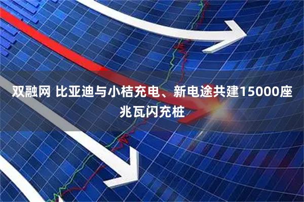 双融网 比亚迪与小桔充电、新电途共建15000座兆瓦闪充桩