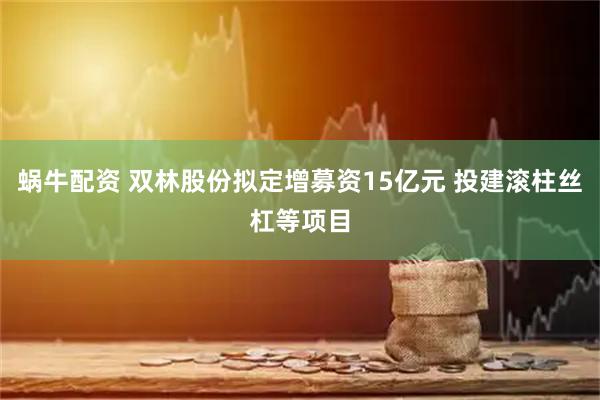 蜗牛配资 双林股份拟定增募资15亿元 投建滚柱丝杠等项目