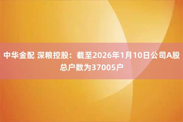 中华金配 深粮控股：截至2026年1月10日公司A股总户数为37005户
