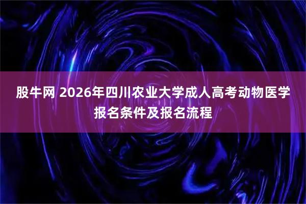 股牛网 2026年四川农业大学成人高考动物医学报名条件及报名流程