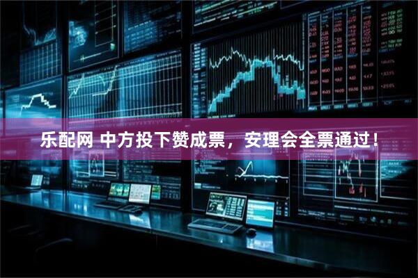乐配网 中方投下赞成票,安理会全票通过!