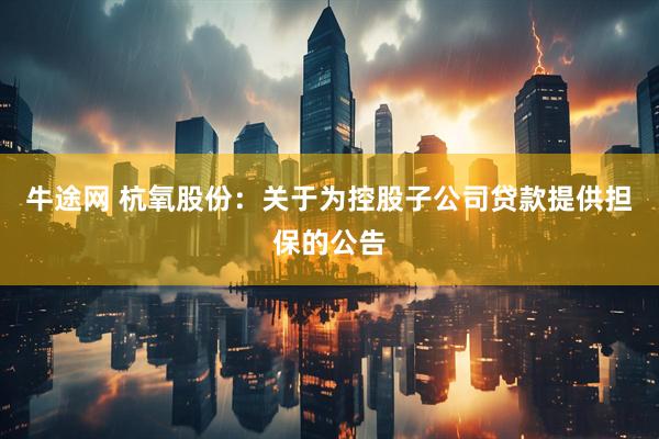 牛途网 杭氧股份：关于为控股子公司贷款提供担保的公告