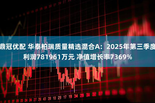 鼎冠优配 华泰柏瑞质量精选混合A:2025年第三季度利润781961万元 净值增长率7369%