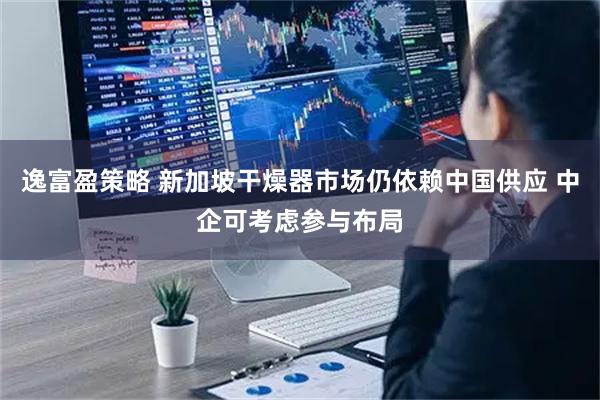 逸富盈策略 新加坡干燥器市场仍依赖中国供应 中企可考虑参与布局