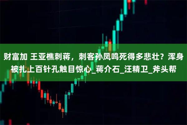 财富加 王亚樵刺蒋，刺客孙凤鸣死得多悲壮？浑身被扎上百针孔触目惊心_蒋介石_汪精卫_斧头帮