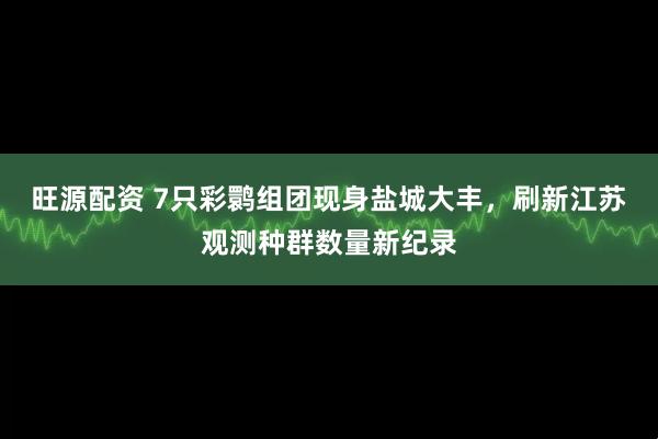 旺源配资 7只彩鹮组团现身盐城大丰，刷新江苏观测种群数量新纪录